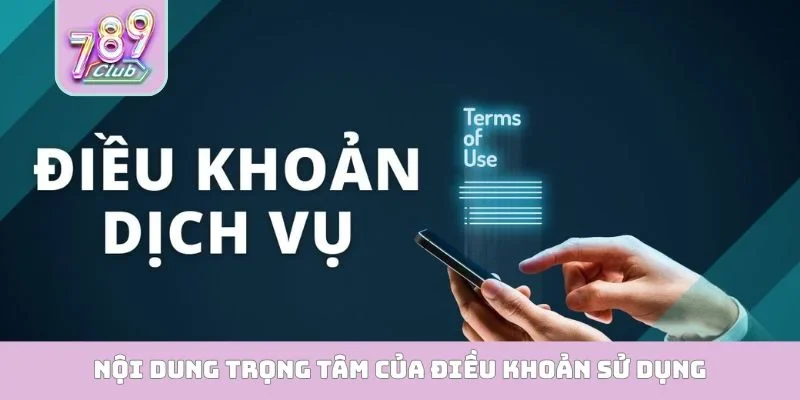 Nội dung trọng tâm của điều khoản sử dụng